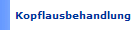 Kopflausbehandlung